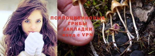 PSILOCYBIN Михайловка