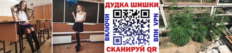 где купить наркоту  Заволжск  Шишки марихуана Ganja 